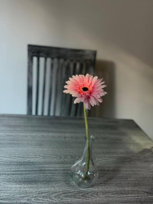 Hermoso Departamento En Coyoacan Kota Meksiko Bagian luar foto