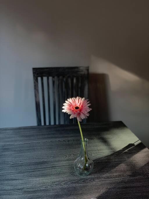 Hermoso Departamento En Coyoacan Kota Meksiko Bagian luar foto