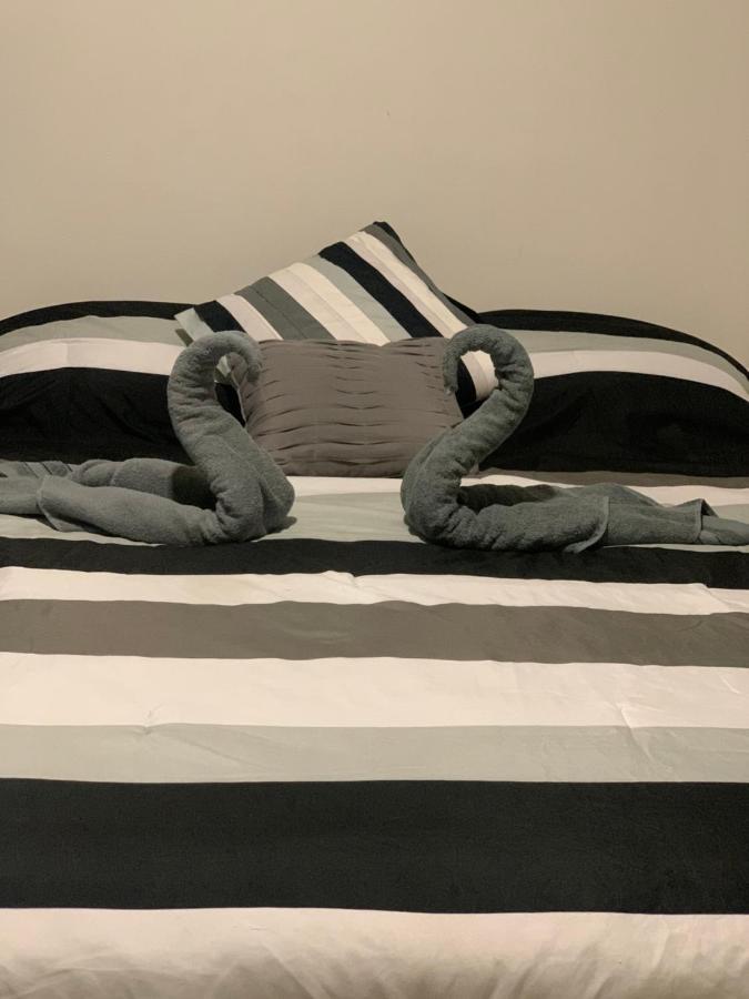 Hermoso Departamento En Coyoacan Kota Meksiko Bagian luar foto