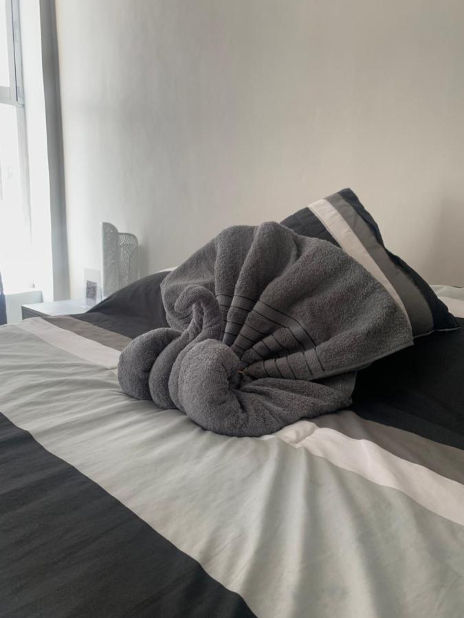 Hermoso Departamento En Coyoacan Kota Meksiko Bagian luar foto